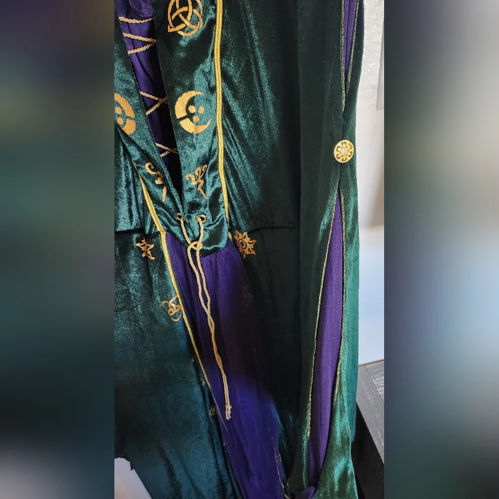 Disney Hocus Pocus Costume  2X Winnie Sanderson - Picture 4 of 12